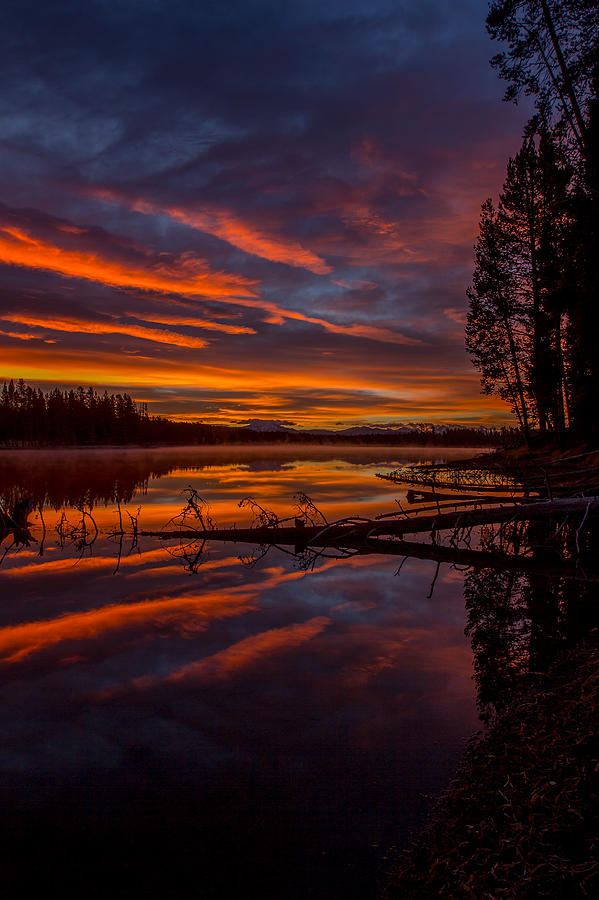 Nature Photograph - Sunrise over the Yellowstone River by Thomas Szajner