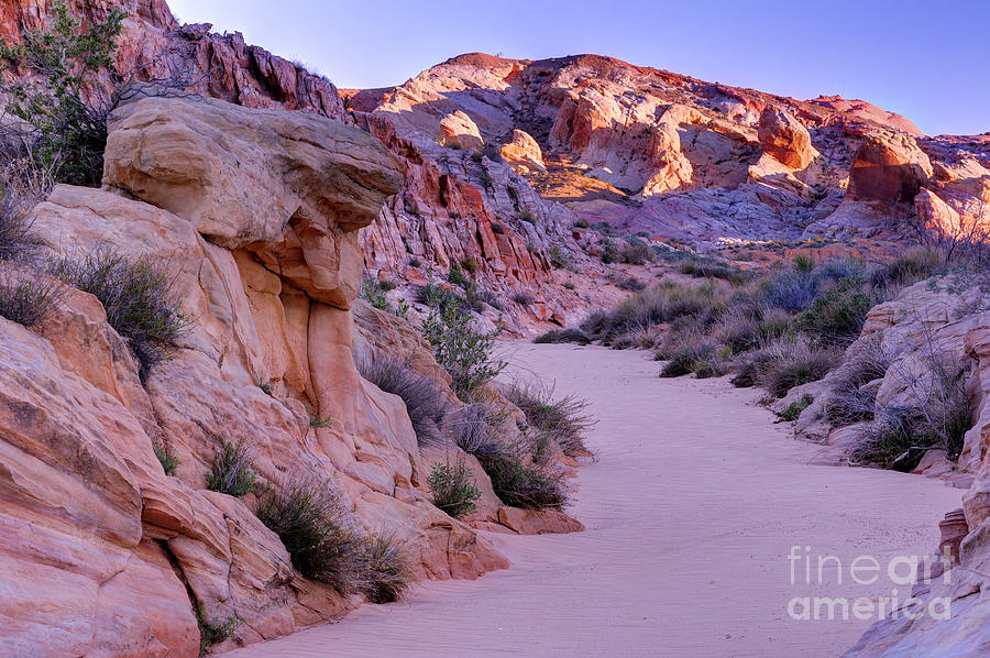 Sunrise Over Valley Of Fire Wash - Nevada Photograph