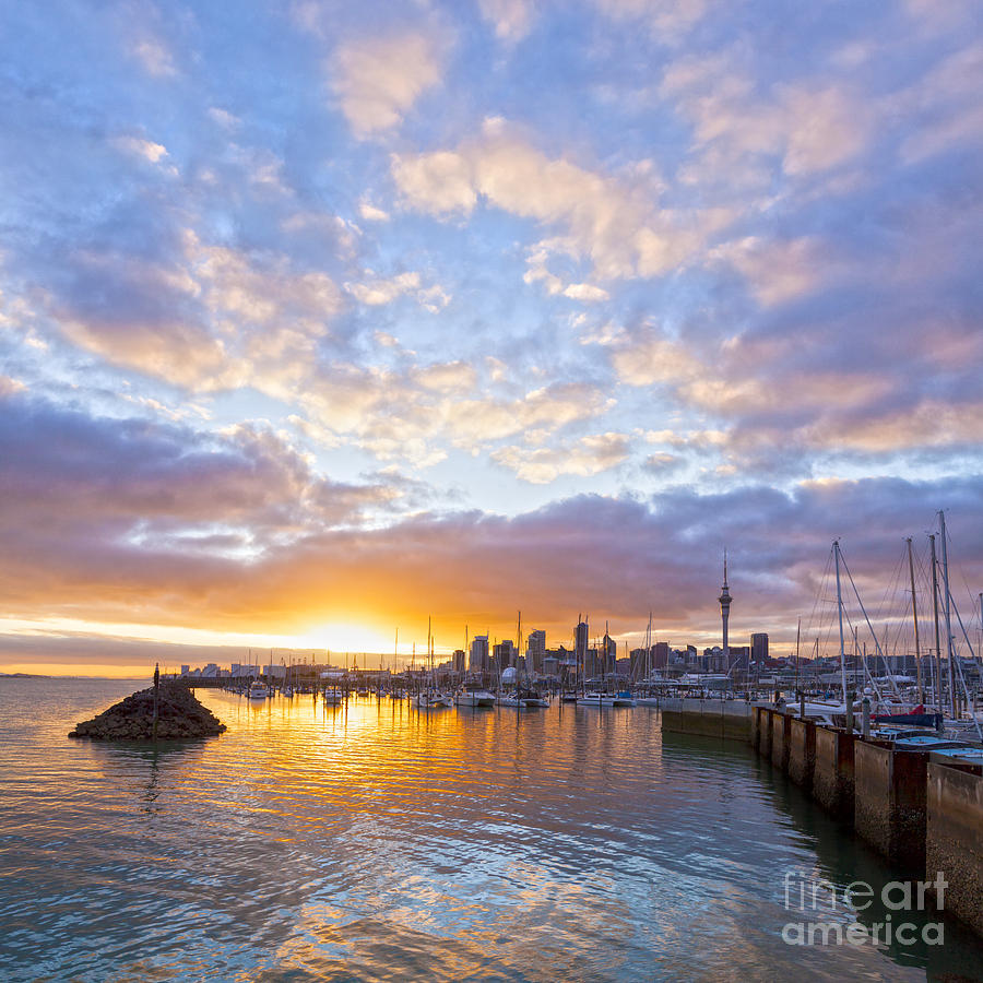 Sunset Photograph - Sunrise over Westhaven Marina Auckland New Zealand by Colin and Linda McKie