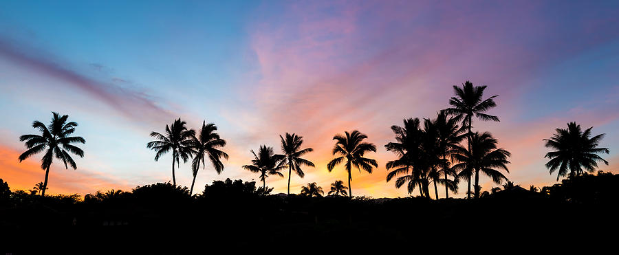 Sunrise Palm trees from Secret Beach Photograph by Pierre Leclerc Photography