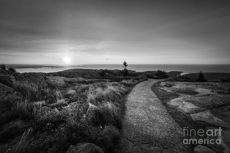 Sunrise Path at Cadillac Mountain BW Photograph by Michael Ver Sprill