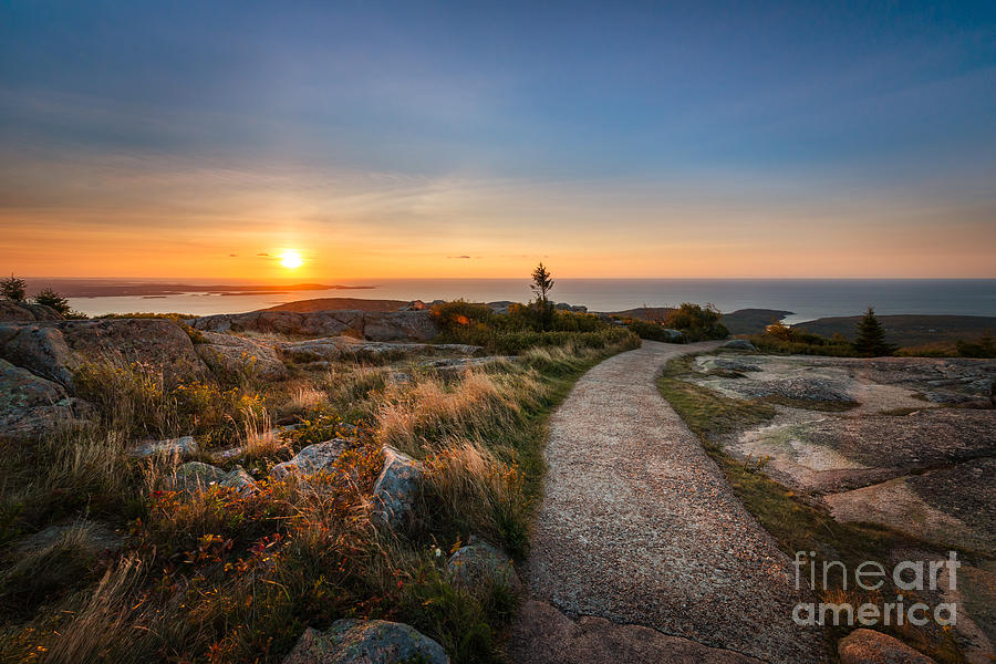 Sunrise Path at Cadillac Mountain Photograph by Michael Ver Sprill