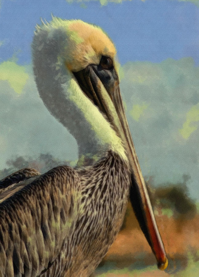 Sunrise Pelican Digital Art by Ernest Echols