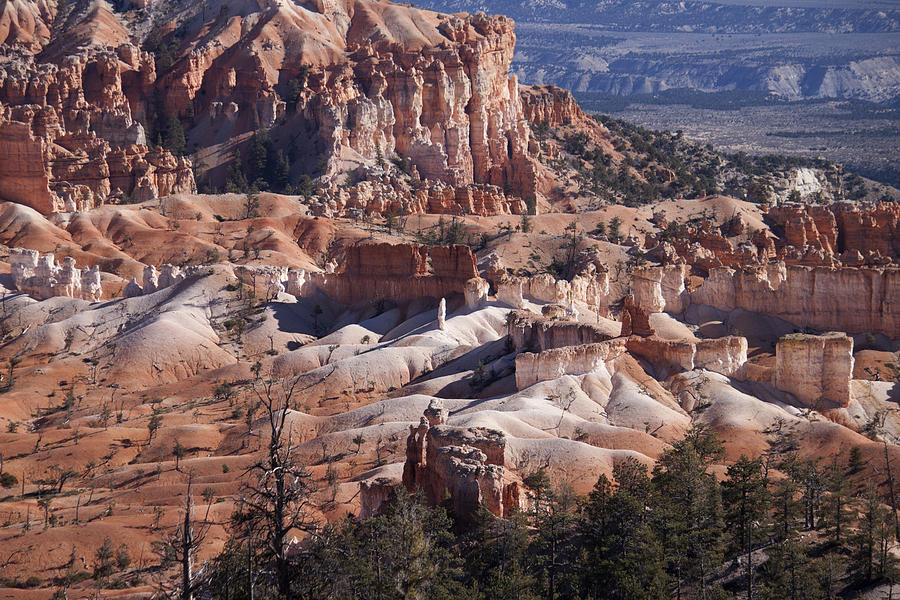 Bryce Canyon National Park Photograph - Sunrise Point by Ivete Basso Photography