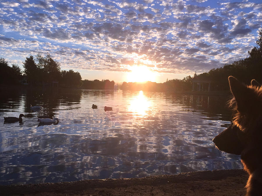 Sunrise Reflections Photograph by Christine Owens Sunrise Reflections Photograph by Christine Owens