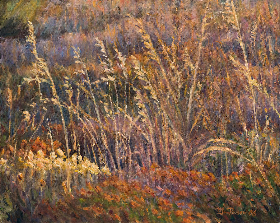 Nature Painting - Sunrise reflections on dried grass by Marco Busoni