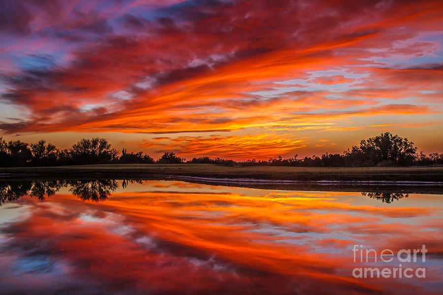 Sunrise Reflections Photograph by Robert Bales