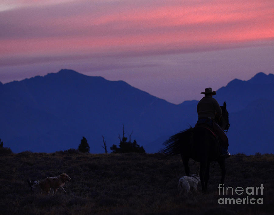 Sunrise Rider Photograph by Dennis Hammer
