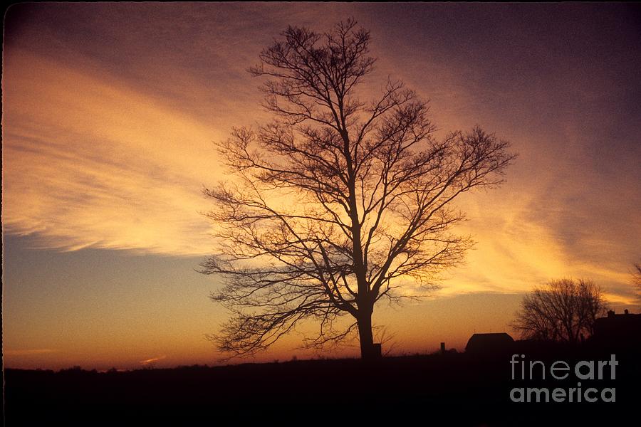 Sunrise Rural Ohio Photograph by John Harmon