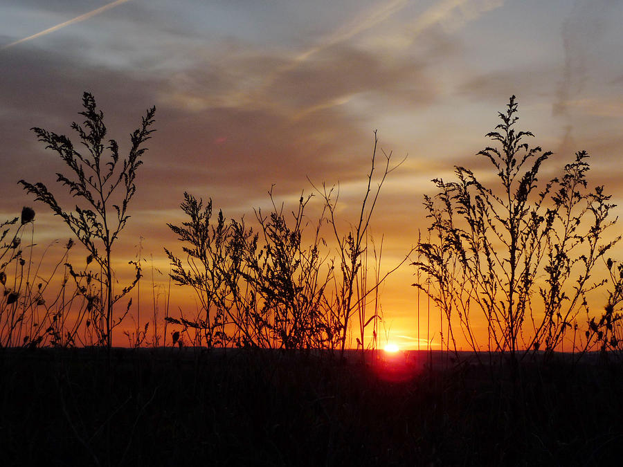 Sunrise Scene Photograph by Don Kosterman