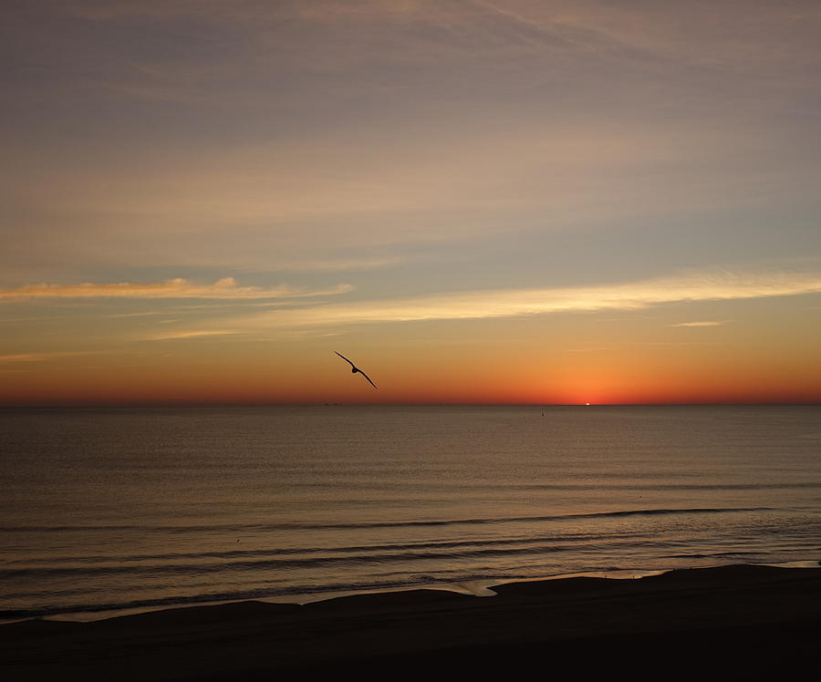 Sunrise Serenity 3 Photograph by Rick Rosenshein