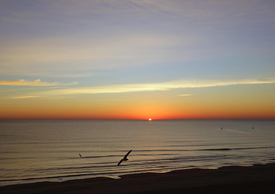 Sunrise Serenity 4 Photograph by Rick Rosenshein