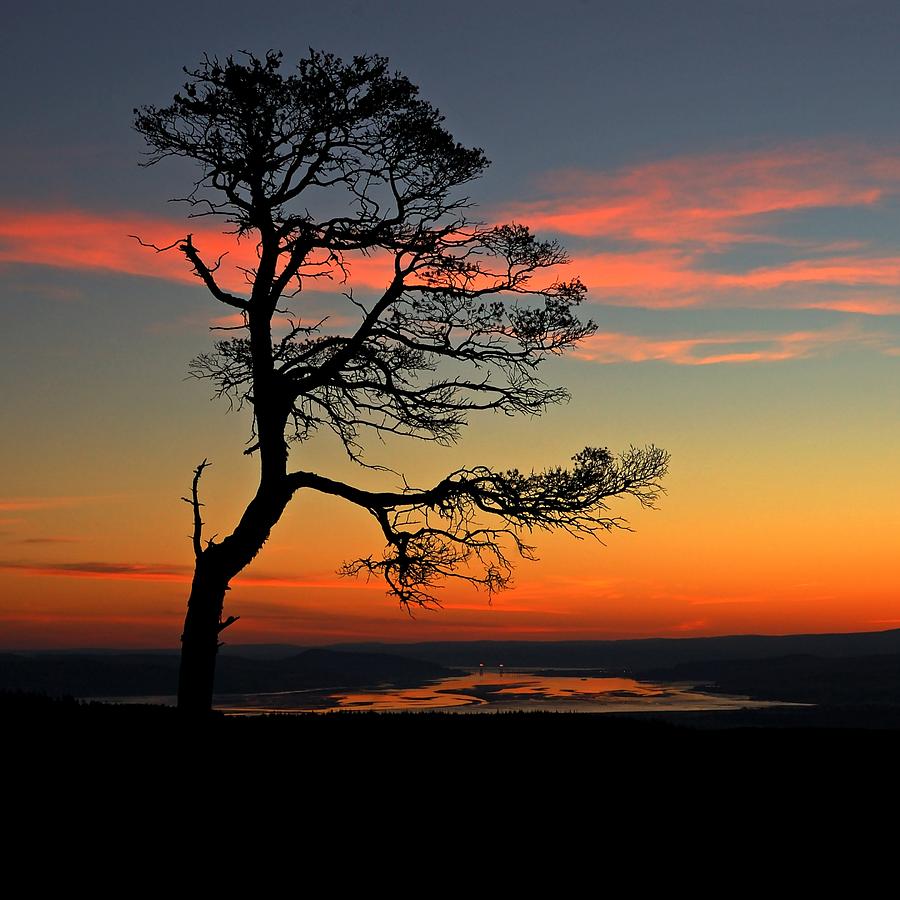 Sunrise silhouette Photograph by Gavin Macrae