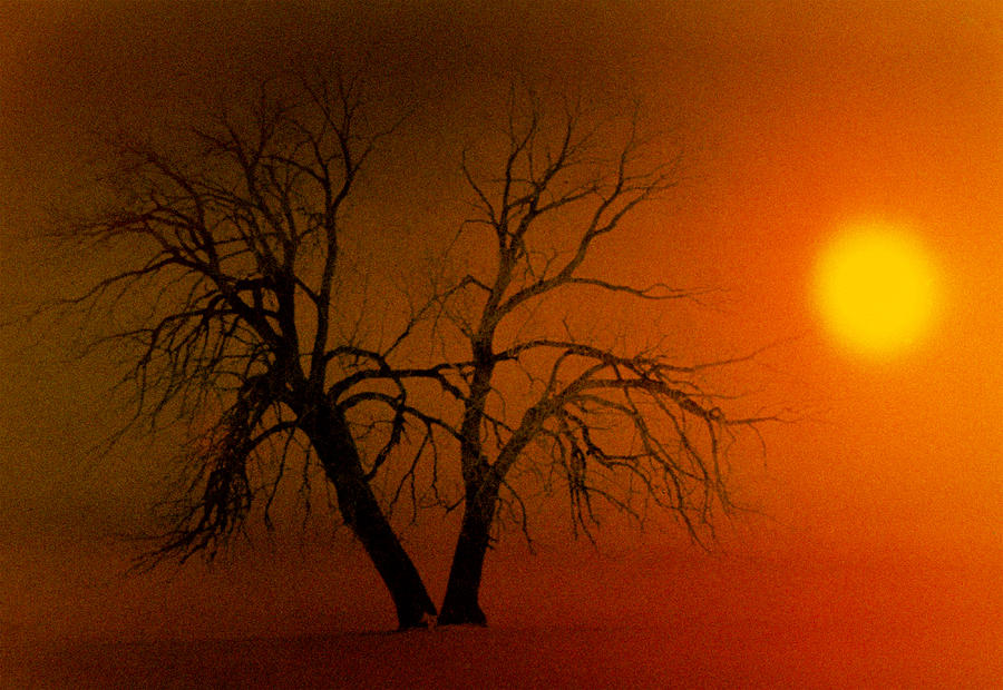 Sunrise Silhouette Photograph by Jim Vance