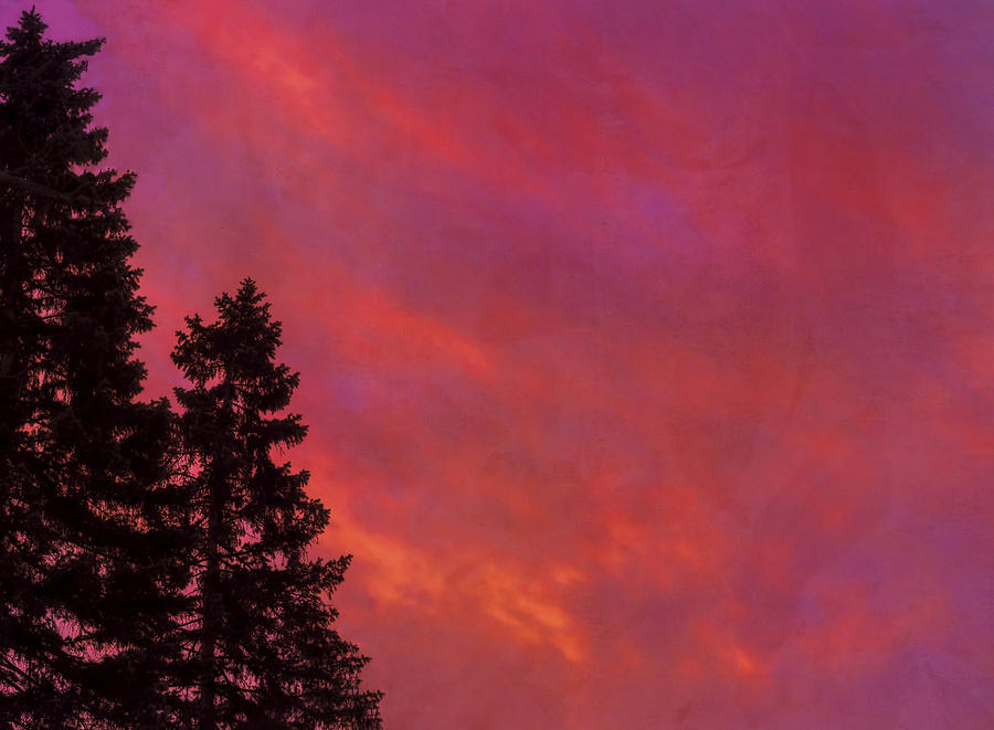 Sunrise Sky Photograph by Tom Singleton
