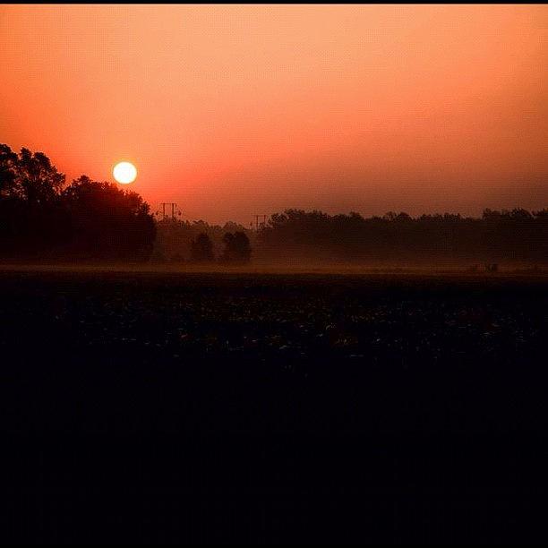 Sunrise Photograph - #sunrise South Carolina, Miss The by Shray Amin