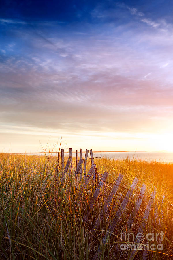 Summer Photograph - Sunrise splashed dunes by Jo Ann Snover