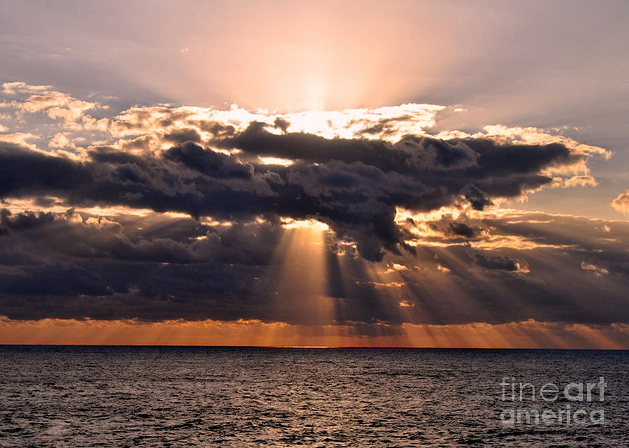 Sunrise Splendor Photograph by Josephine Cohn