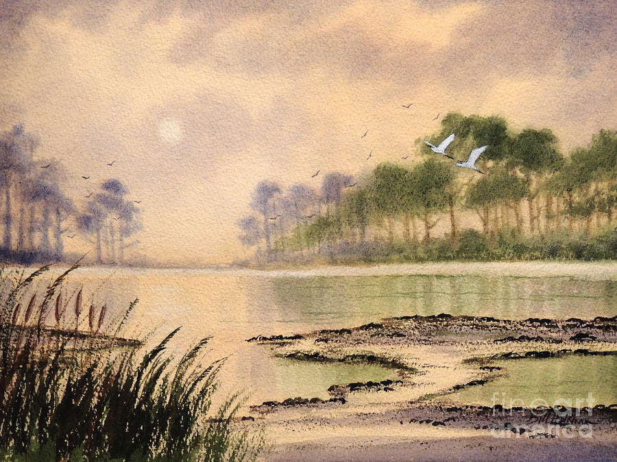 Sunrise - Egrets At St Marks Refuge Florida Painting