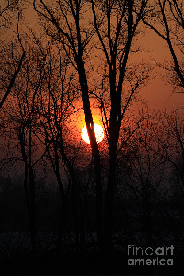 Sunrise Surprise Photograph by Rick Rauzi
