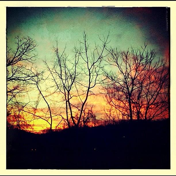 Winter Photograph - Sunrise This Morning. #snapseed by Teresa Mucha