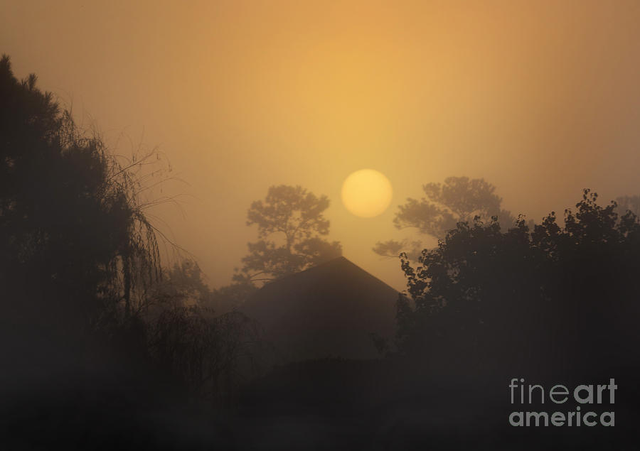 Sunrise Through A Heavy Morning Fog Photograph by Kathy Baccari