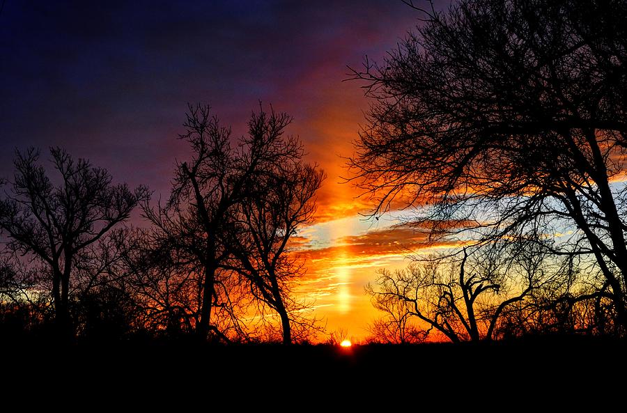 Sunrise Through the Cottonwoods Photograph by Jean Hutchison