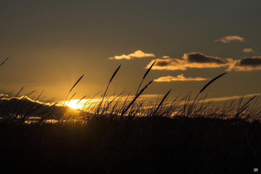 Sunrise through the Dunes Photograph by John Meader