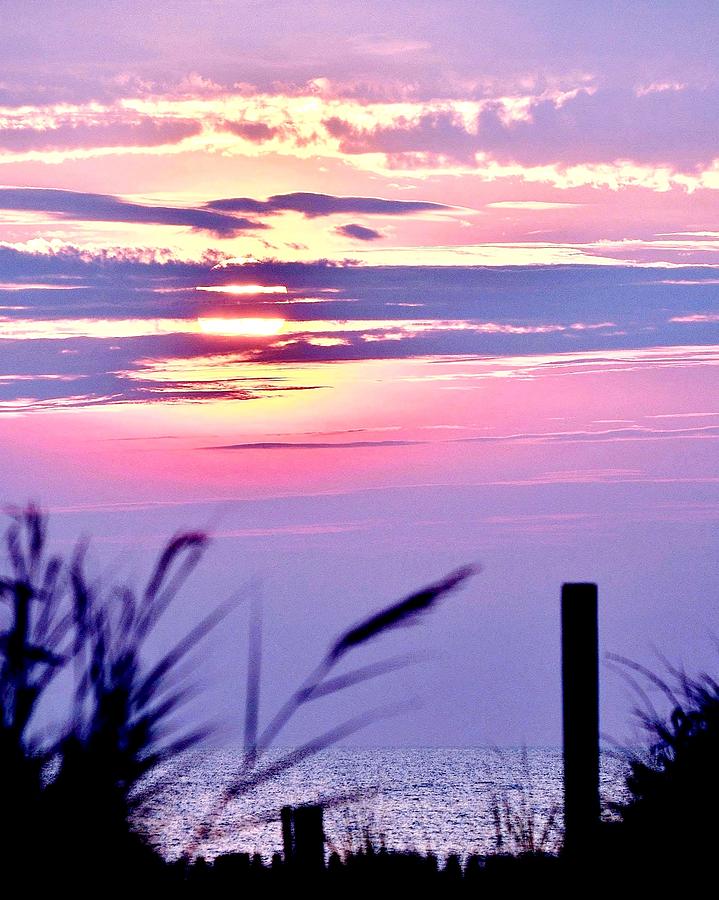Sunrise Through the Dunes Photograph by Kim Bemis
