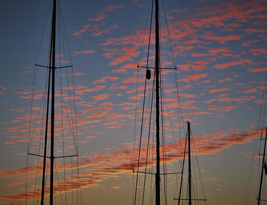 Sunrise through the Masts Photograph by Mark Mitchell