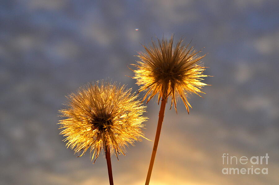 Sunrise Photograph - Sunrise time clock by Coralie Plozza Sunrise Photograph - Sunrise time clock by Coralie Plozza