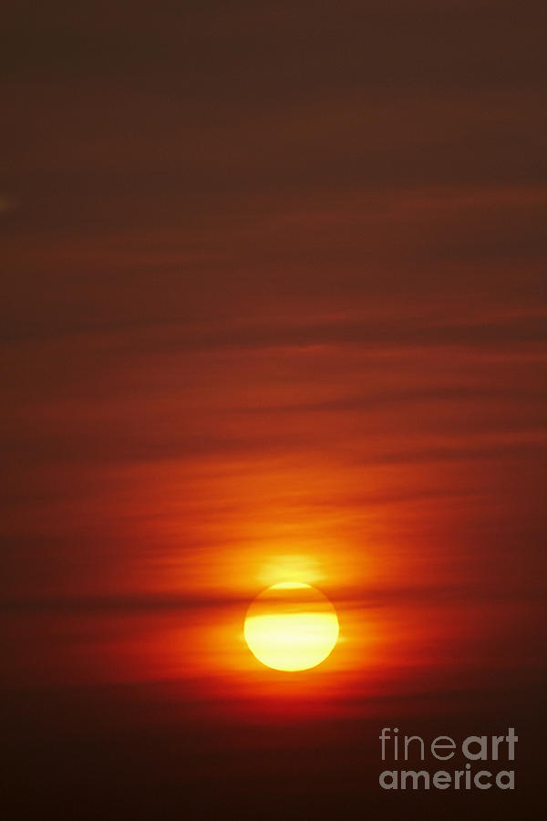 Sunrise Photograph by Tony Cordoza