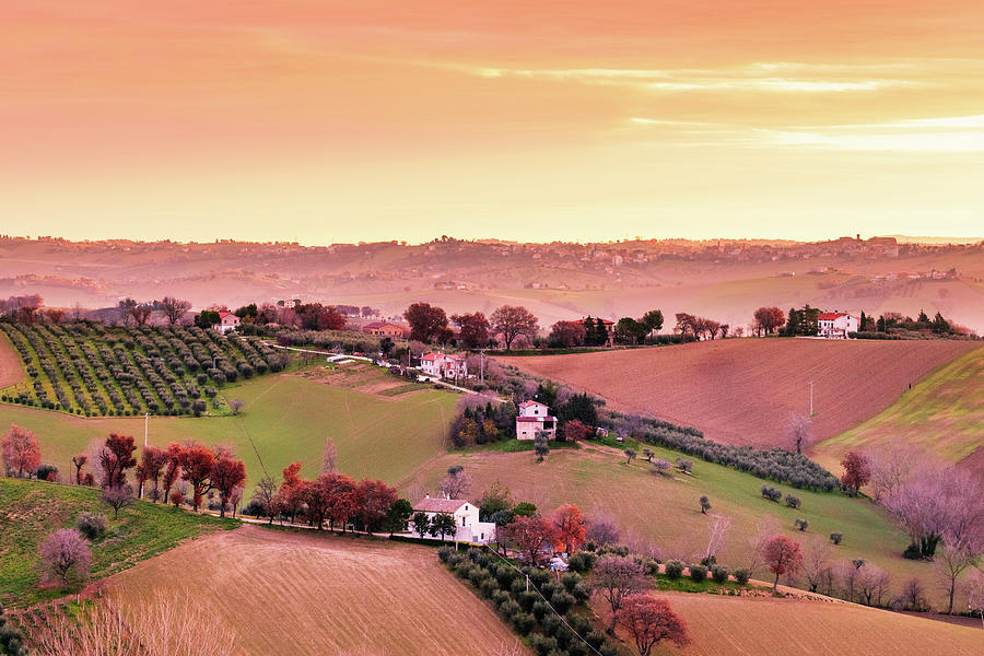Sunrise Tuscany Vineyard Photograph by Deimagine