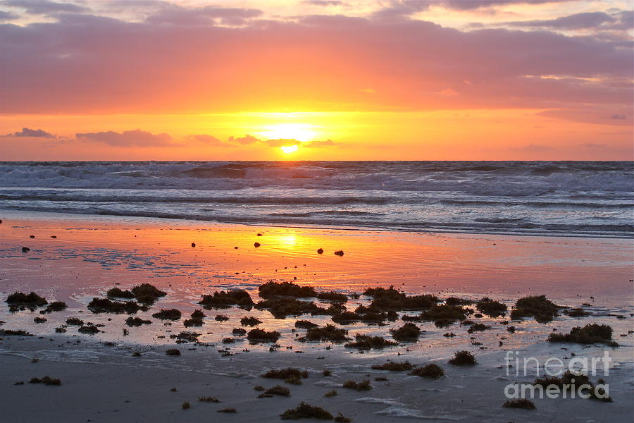 Beach Photograph - Sunrise Views by Valerie Tull