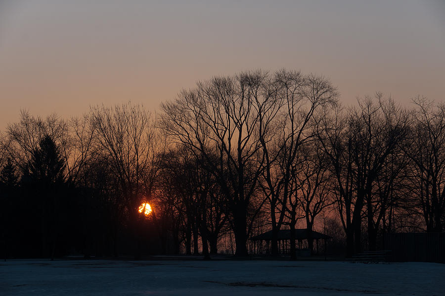 Sunrise Walk Through The Park Photograph