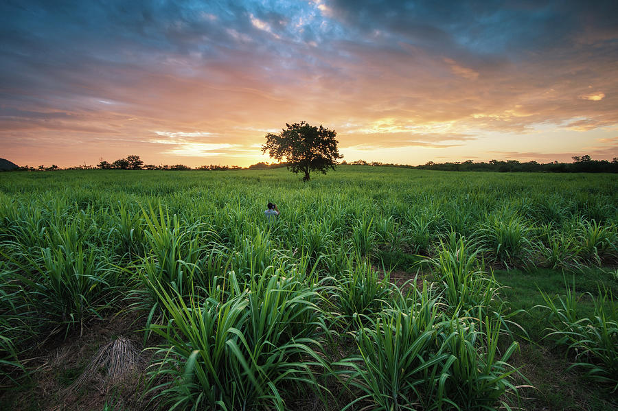 Sunrise Photograph by Weerakarn Satitniramai - Fine Art America