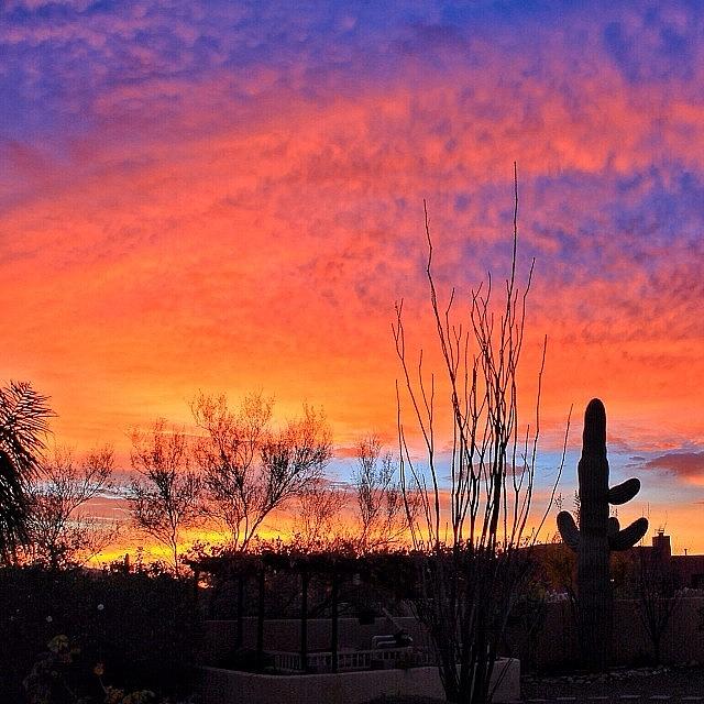 Sunrise/arizona #sunset_madness Photograph by Marco Prado