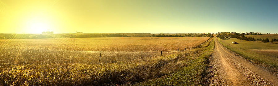Farm Photograph - SunRiseRoad by Patrick Ziegler