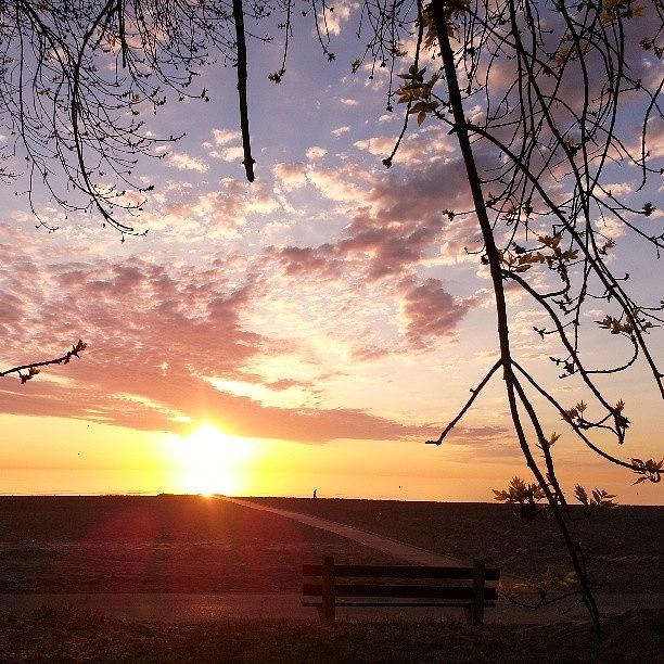 Tree Photograph - #sunrisesoftheworld #sunrise by John Bambino