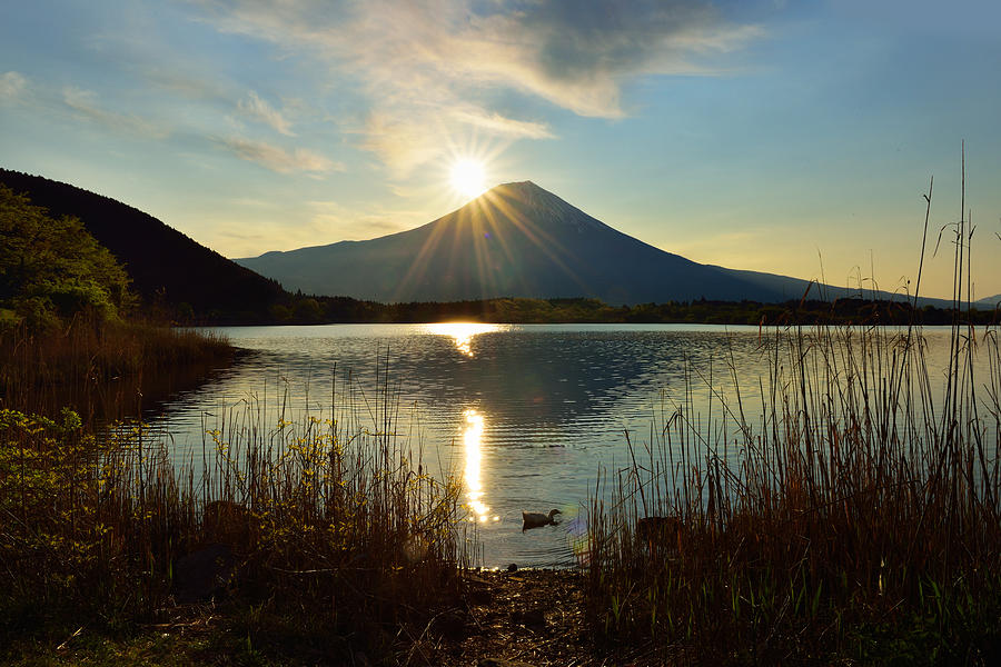 Sunrize At Mt. Fuji Photograph by Photo By Yoko Okamoto