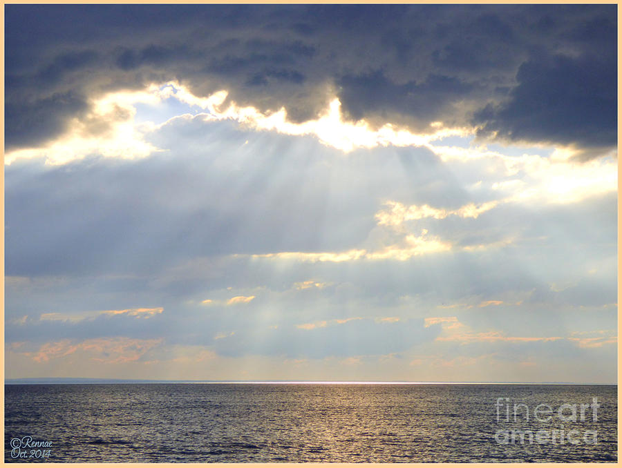 Nature Photograph - Suns Rays by Rennae Christman Nature Photograph - Suns Rays by Rennae Christman