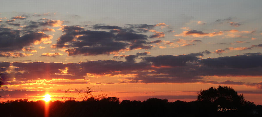 Sunset Photograph - Sunset -2013-09-21 by Ericamaxine Price