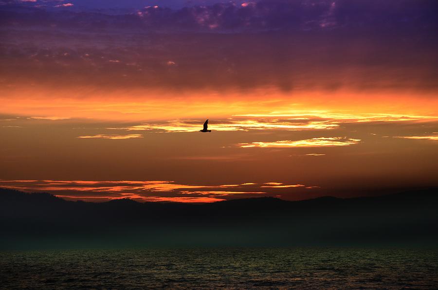 Sunset 21 Photograph by Ricardo Dominguez