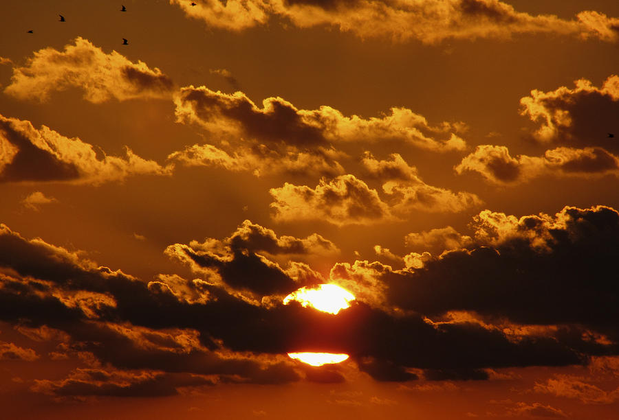 Sunset 5 Photograph by Bob Slitzan