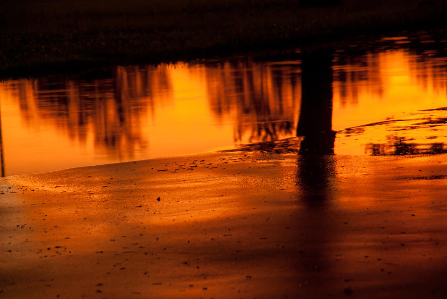 Sunset After Rain Photograph by Darryl Dalton