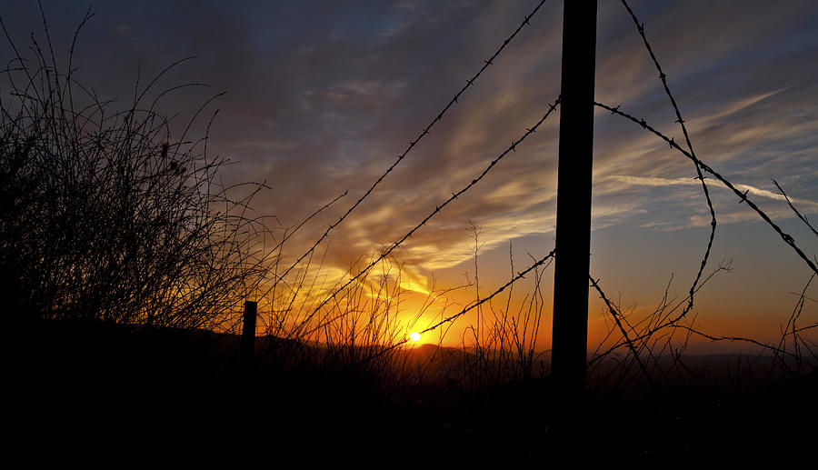 Sunset Along The Fence Yellow Red Orange Fine Art Photography Print  Photograph by Jerry Cowart