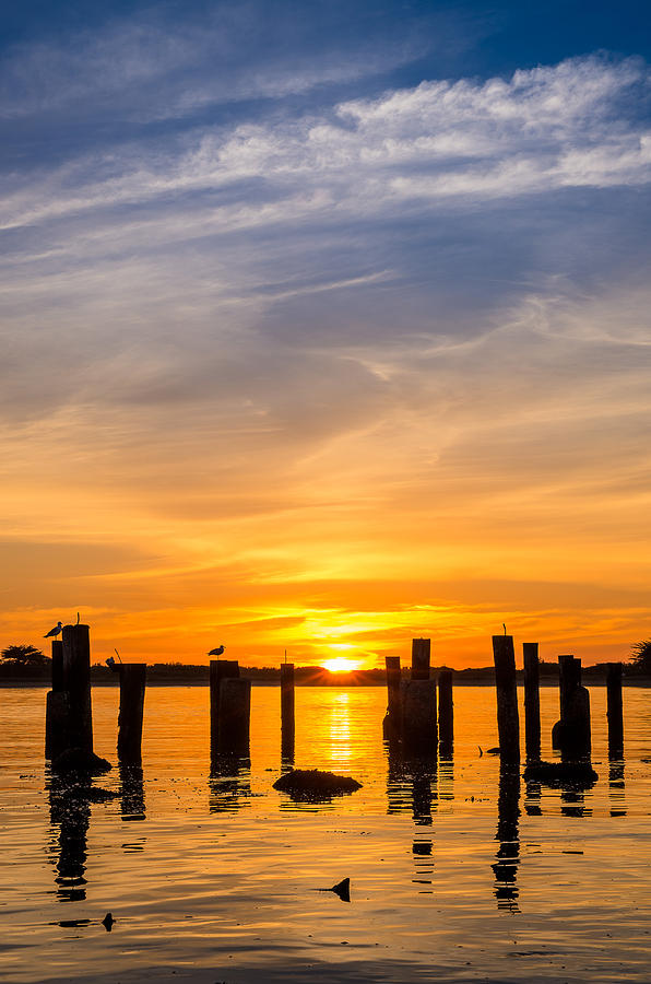 Sunset Photograph - Sunset Amongst the Pylons by Greg Nyquist