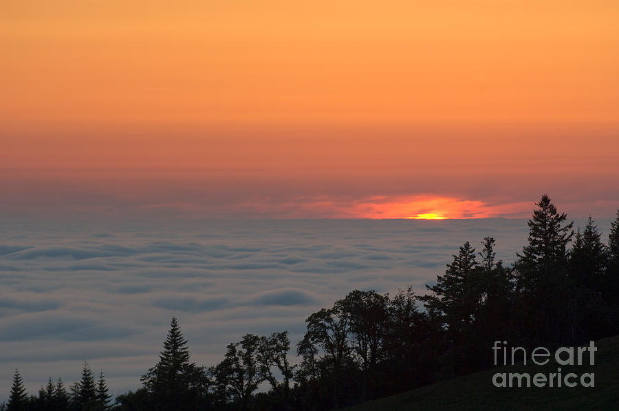 Sunset Photograph - Sunset And Fog by John Shaw
