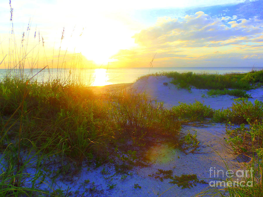 Sunset and Sand Dunes Photograph by Lou Ann Bagnall