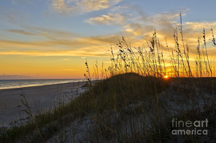 Sunset and Sea Oats Photograph by Debra Johnson - Fine Art America